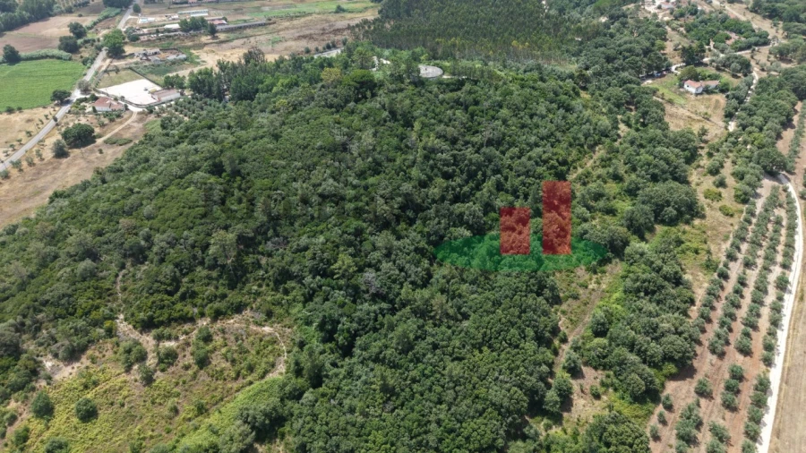 Terreno Agricola ou Rústico para Venda em Rio Maior Foto 5