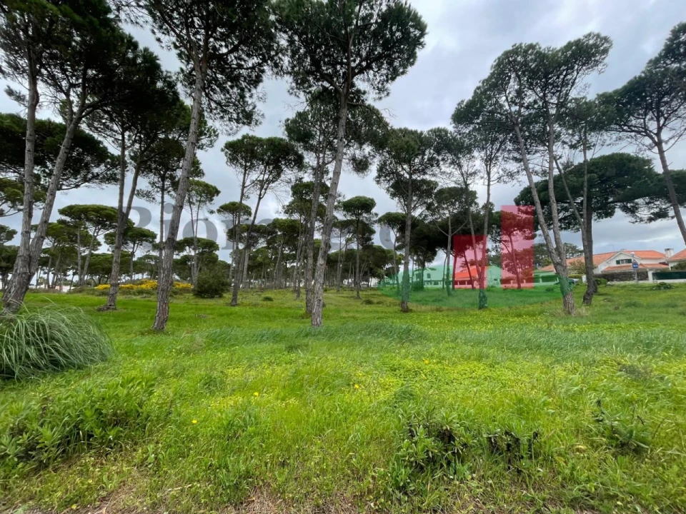 Moradia T3 para Venda em Sesimbra (Castelo) Foto 33