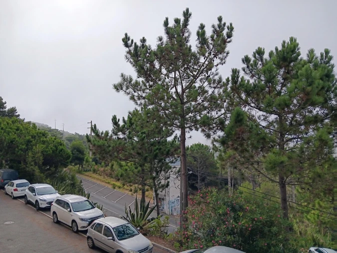 Apartamento T1 para Venda em São João das Lampas e Terrugem Foto 23