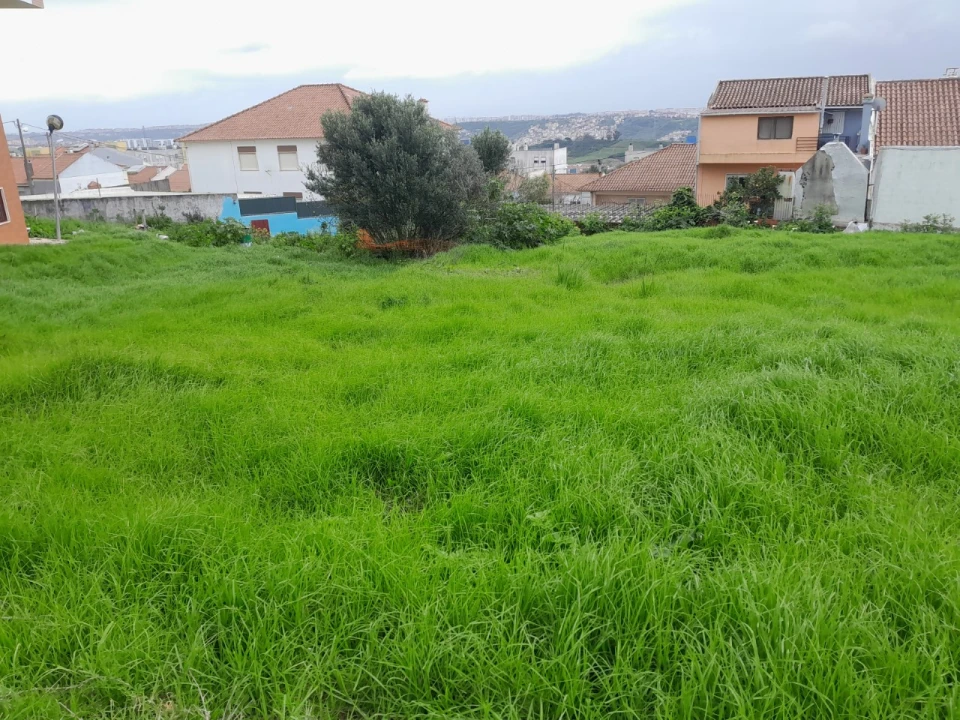 Terreno para Venda em Águas Livres Foto 6