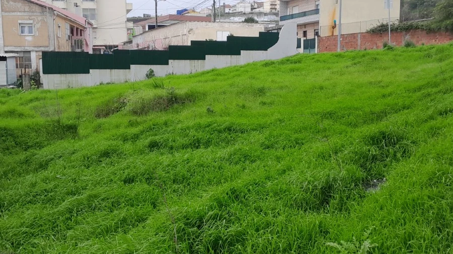 Terreno para Venda em Águas Livres
