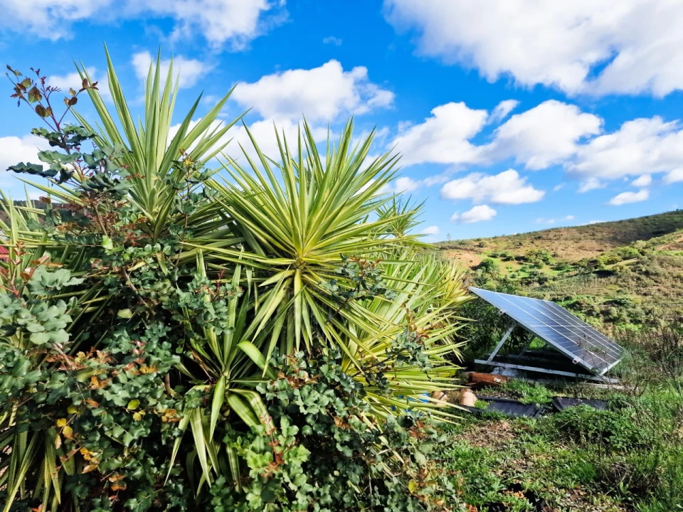 Moradia T5 para Venda em Santa Catarina da Fonte do Bispo Foto 42