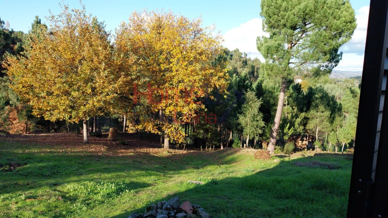 Quinta T4 para Venda em Midões Foto 3