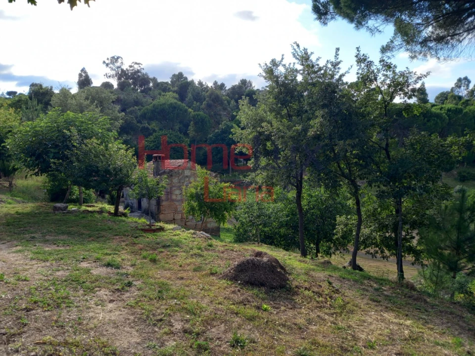 Quinta T4 para Venda em Midões Foto 10