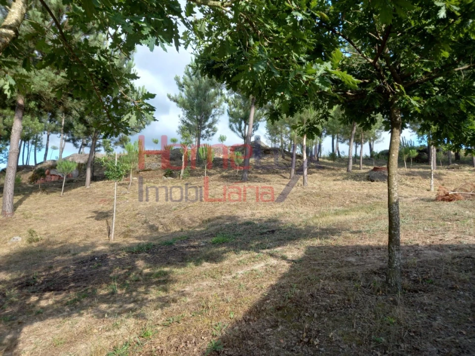 Quinta T4 para Venda em Midões Foto 15