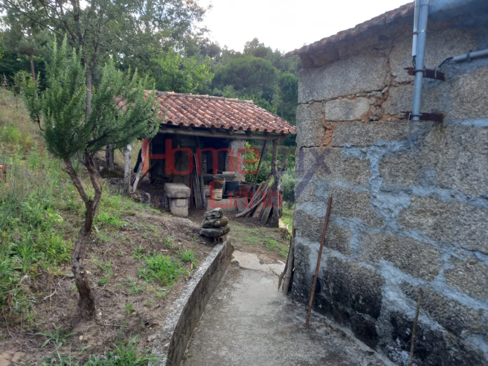 Quinta T4 para Venda em Midões Foto 18