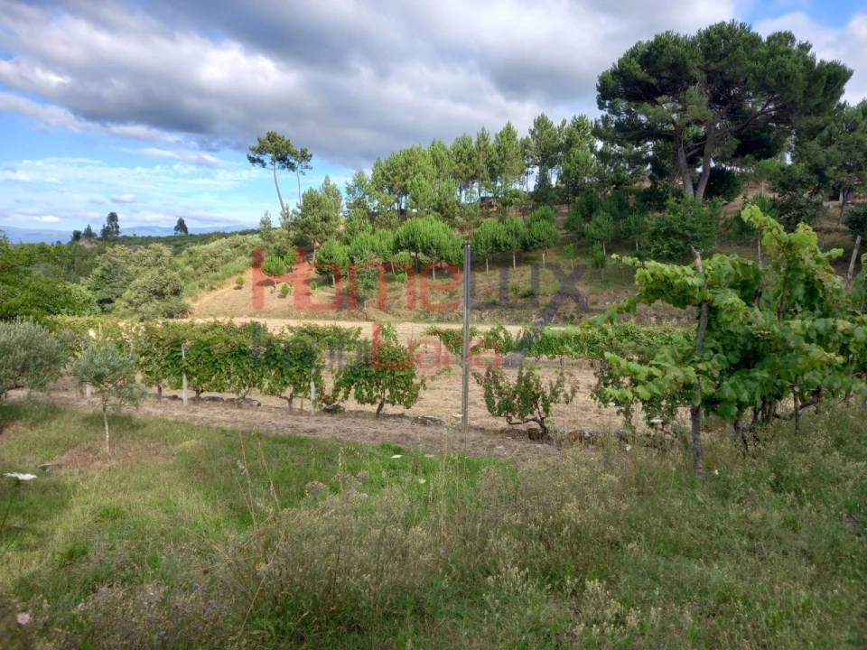 Quinta T4 para Venda em Midões Foto 20