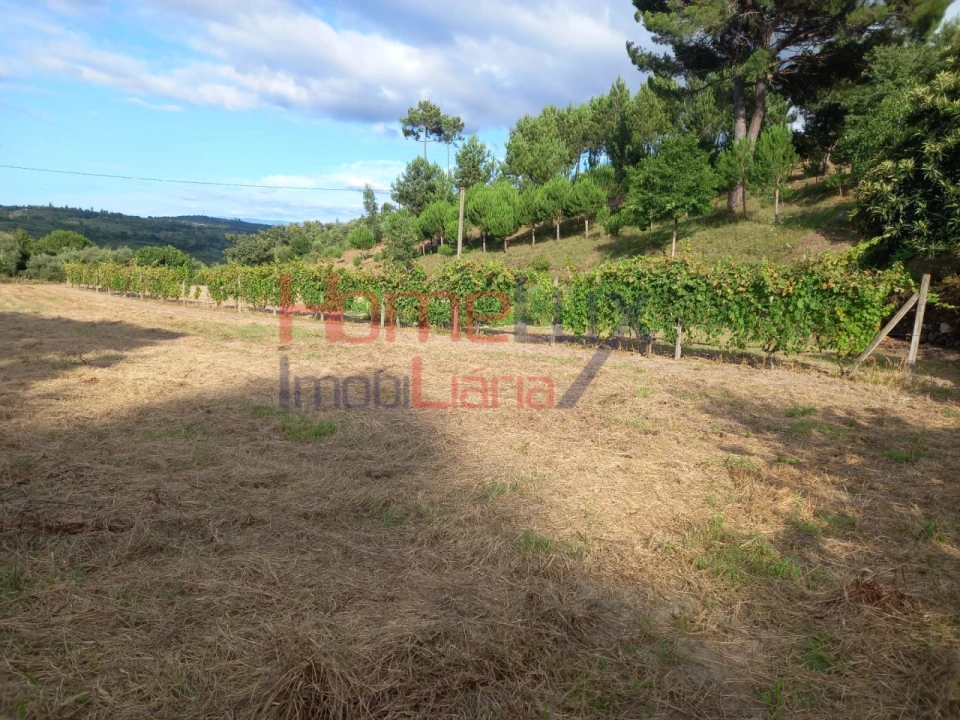 Quinta T4 para Venda em Midões Foto 21