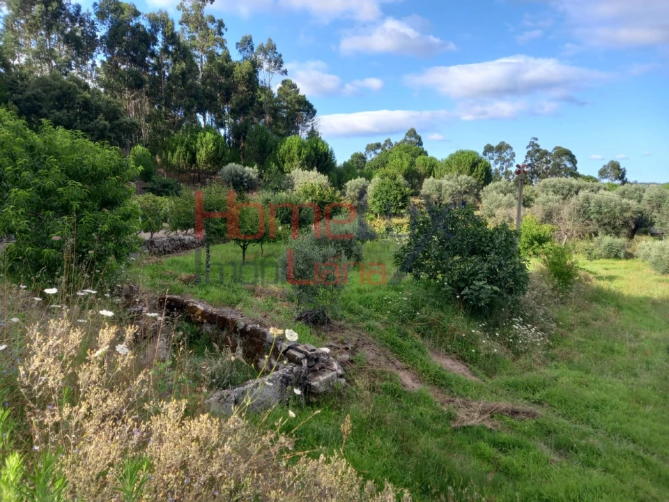 Quinta T4 para Venda em Midões Foto 24