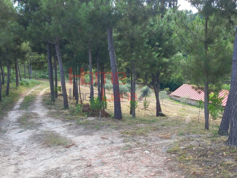 Quinta T4 para Venda em Midões Foto 26