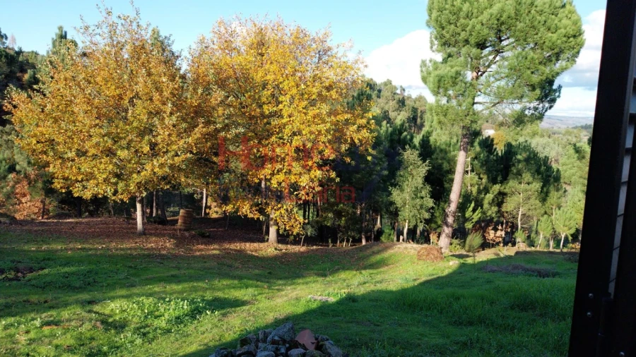 Quinta T4 para Venda em Midões Foto 3