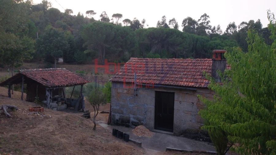 Quinta T4 para Venda em Midões Foto 5