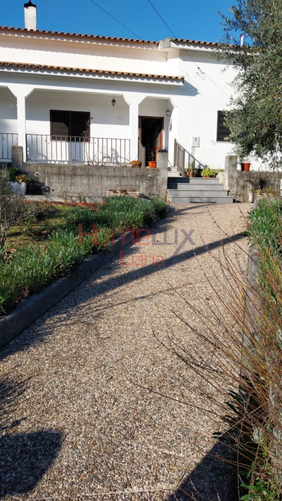 Quinta T4 para Venda em Midões Foto 6