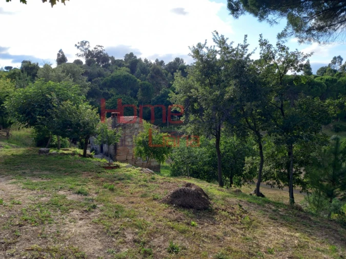 Quinta T4 para Venda em Midões Foto 10