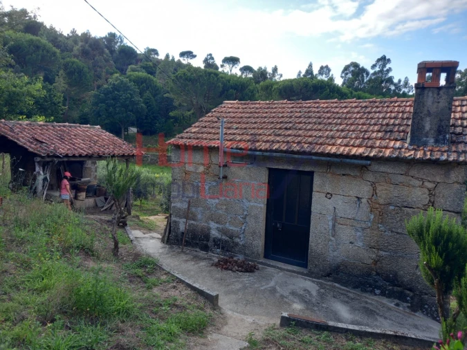 Quinta T4 para Venda em Midões Foto 14