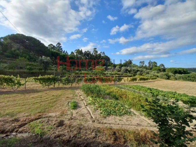 Quinta T4 para Venda em Midões Foto 17