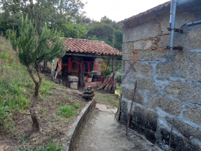 Quinta T4 para Venda em Midões Foto 18