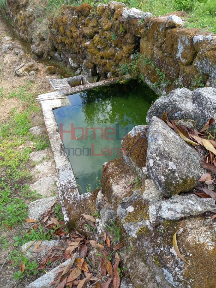 Quinta T4 para Venda em Midões Foto 19