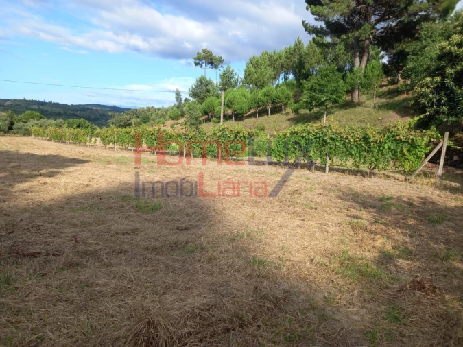 Quinta T4 para Venda em Midões Foto 21