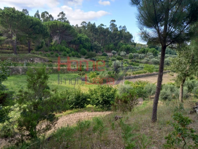 Quinta T4 para Venda em Midões Foto 23