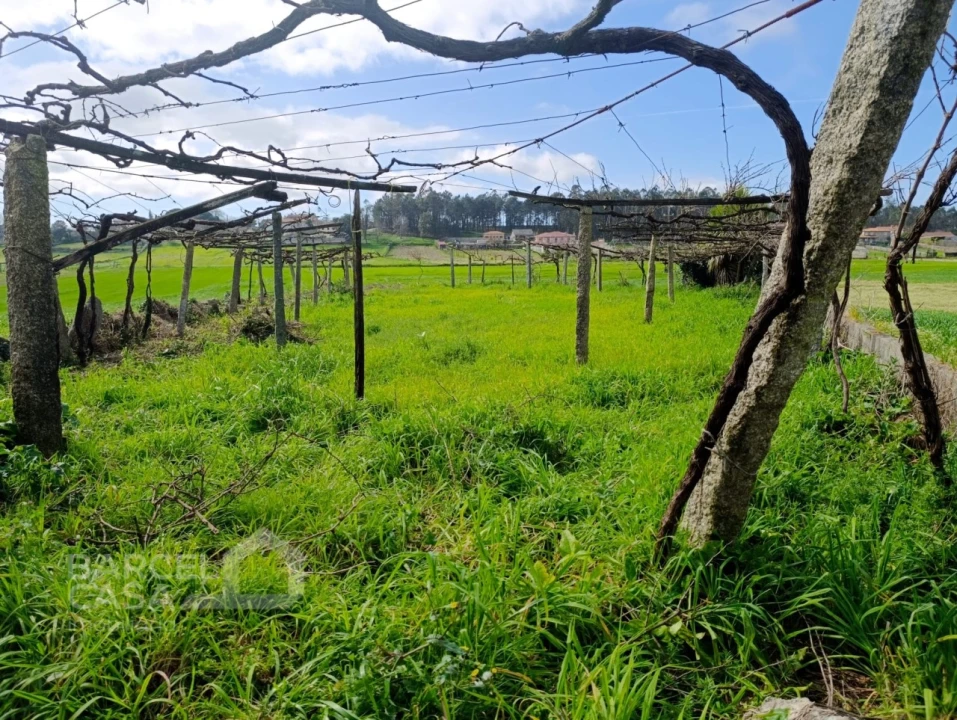 Terreno Agricola ou Rústico para Venda em Cristelo Foto 1