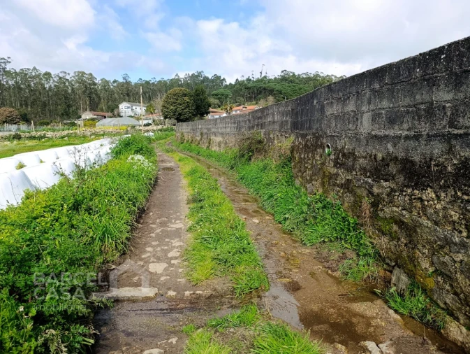 Terreno Agricola ou Rústico para Venda em Cristelo Foto 2