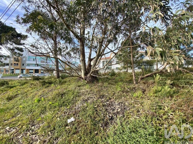 Terreno para Venda em Foz do Arelho Foto 8