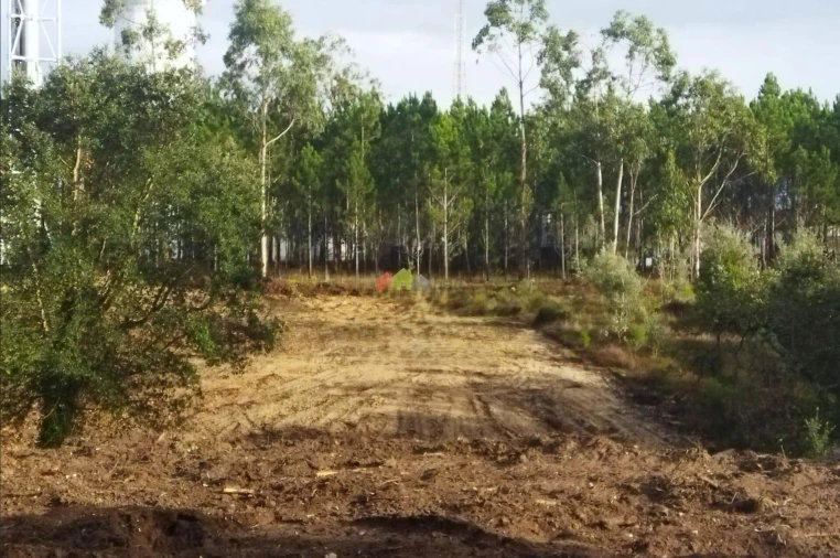 Terreno para Venda em Monte Real e Carvide Foto 3