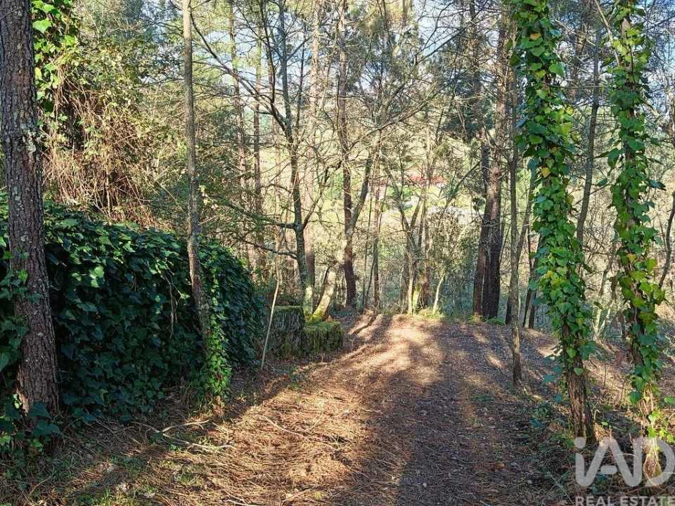 Moradia T6 para Venda em Soalhães Foto 4