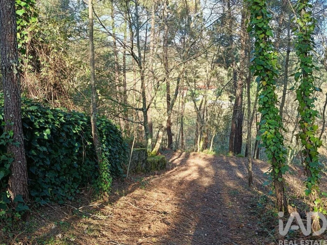 Moradia T6 para Venda em Soalhães Foto 4