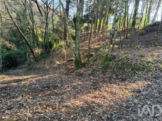 Moradia T6 para Venda em Soalhães Foto 5