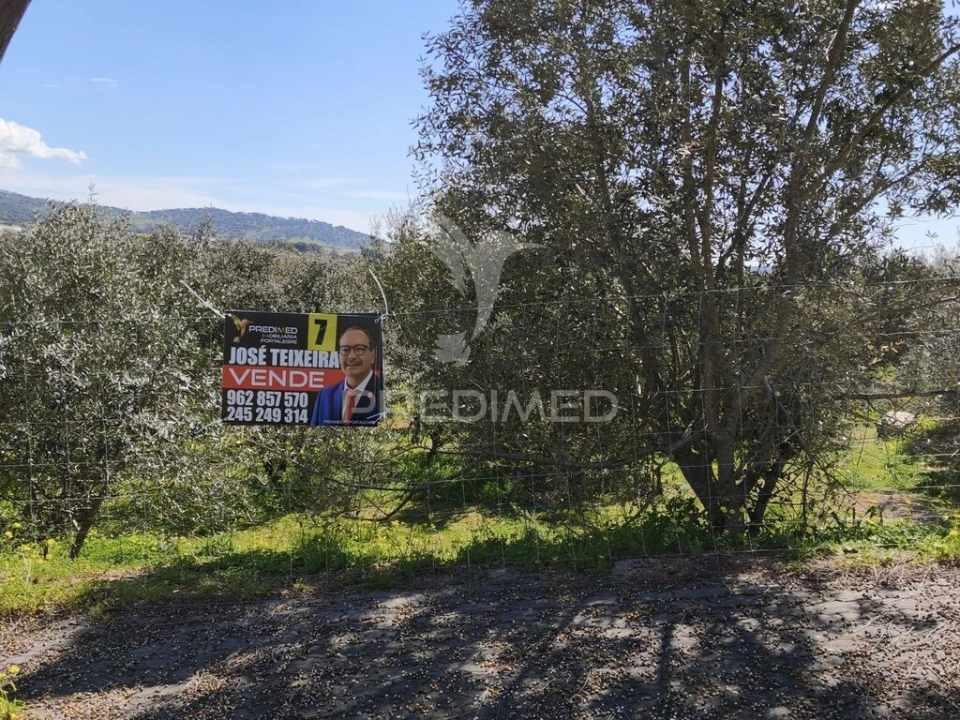 Terreno para Venda em Ribeira de Nisa e Carreiras Foto 2