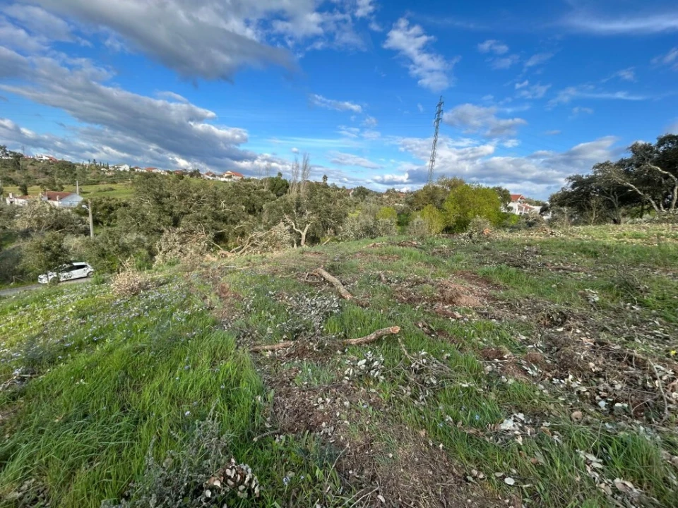 Terreno para Venda em São João Baptista e Santa Maria dos Olivais Foto 6