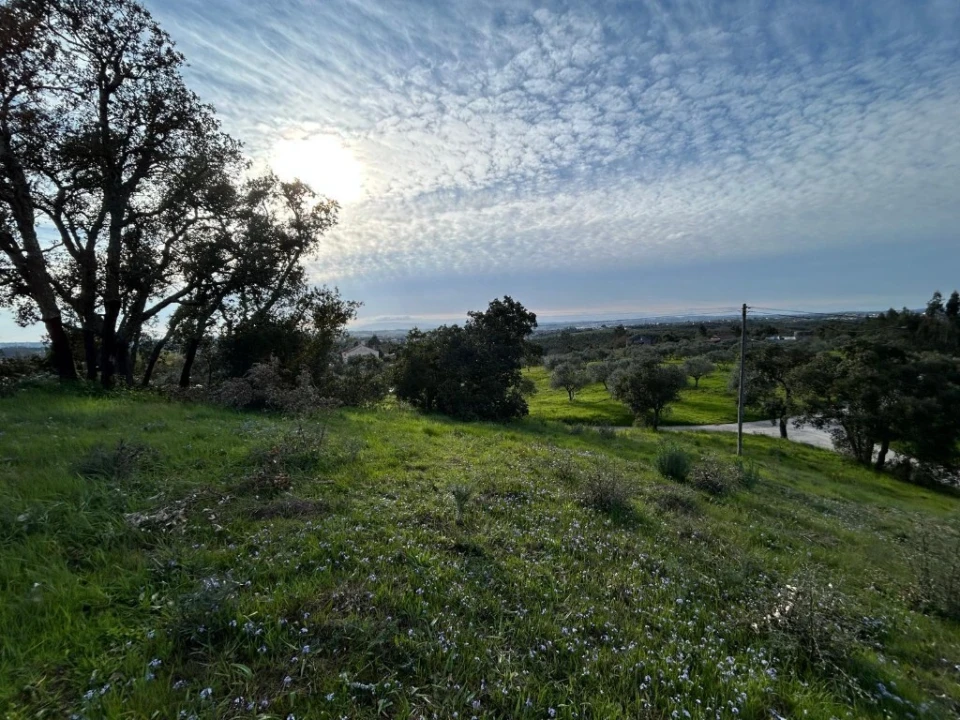 Terreno para Venda em São João Baptista e Santa Maria dos Olivais Foto 4
