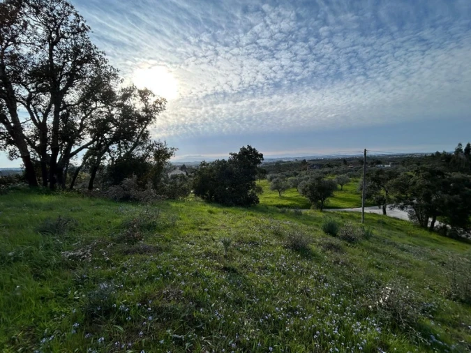 Terreno para Venda em São João Baptista e Santa Maria dos Olivais Foto 4