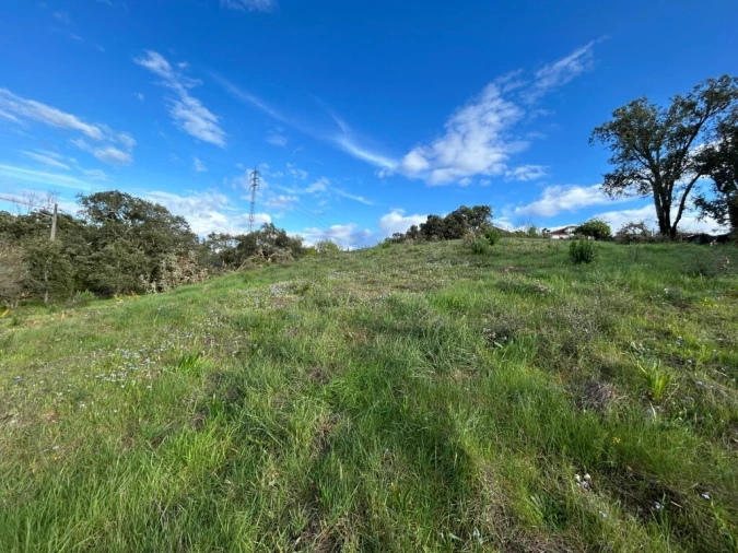 Terreno para Venda em São João Baptista e Santa Maria dos Olivais Foto 7