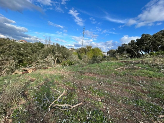 Terreno para Venda em São João Baptista e Santa Maria dos Olivais Foto 5