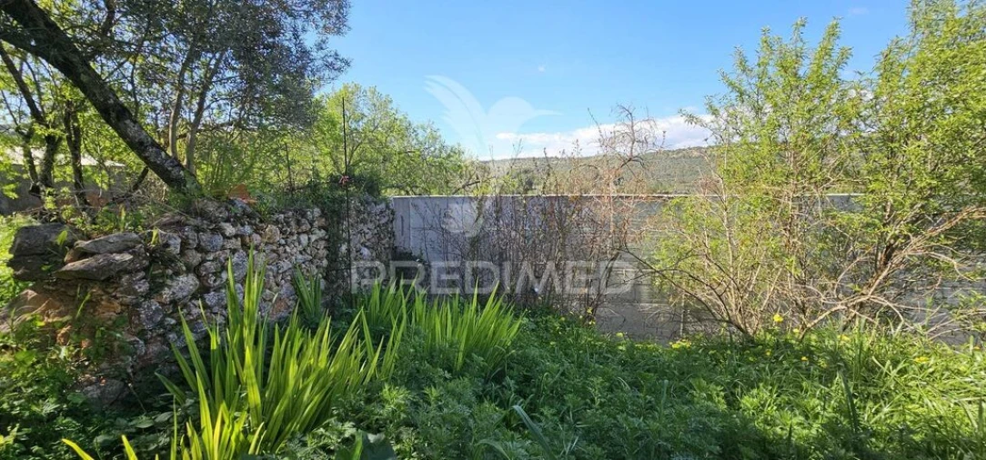Terreno para Venda em Loule (São Sebastião) Foto 9