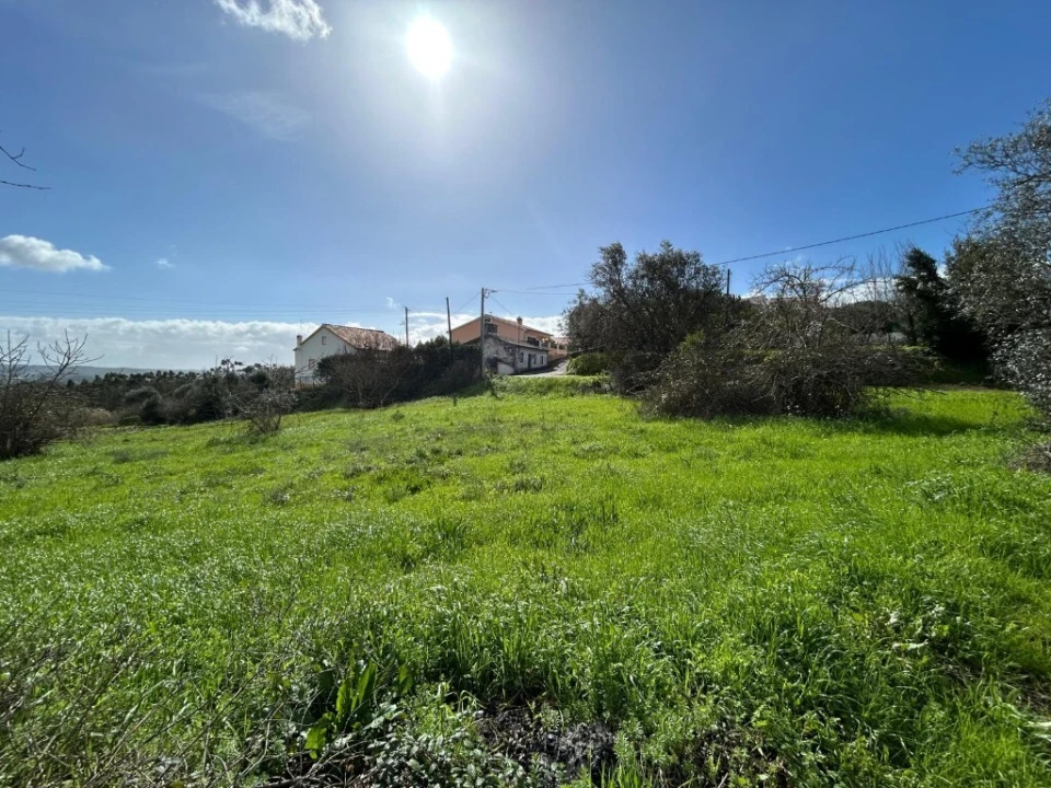 Terreno para Venda em São João Baptista e Santa Maria dos Olivais Foto 2
