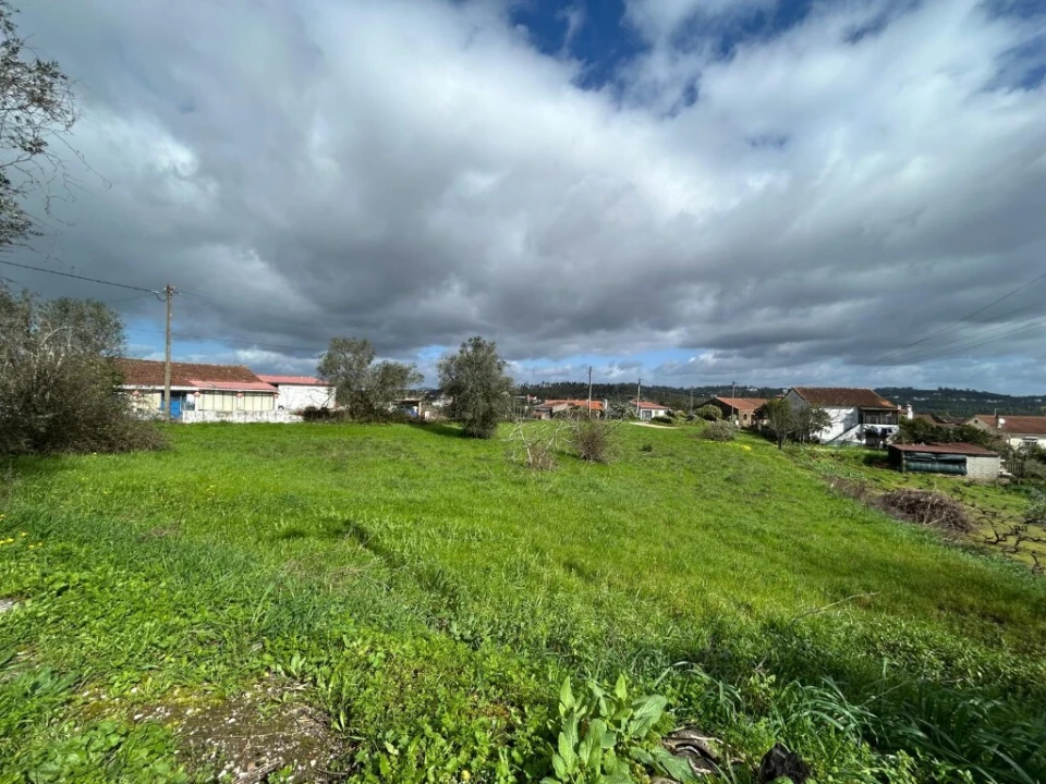 Terreno para Venda em São João Baptista e Santa Maria dos Olivais Foto 4