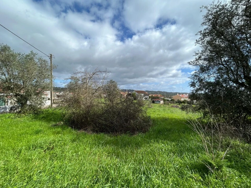 Terreno para Venda em São João Baptista e Santa Maria dos Olivais Foto 3