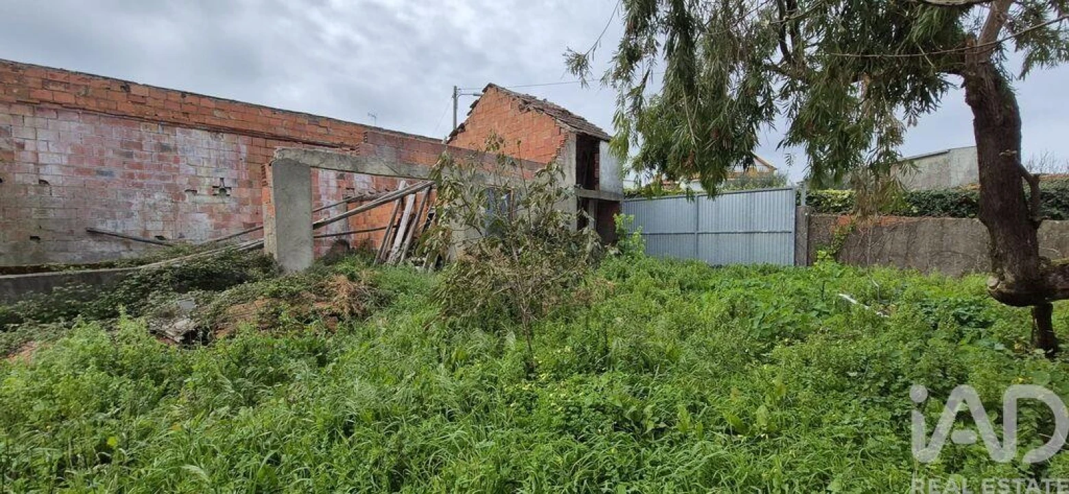 Moradia T4 para Venda em Santa Catarina da Serra e Chainça Foto 10