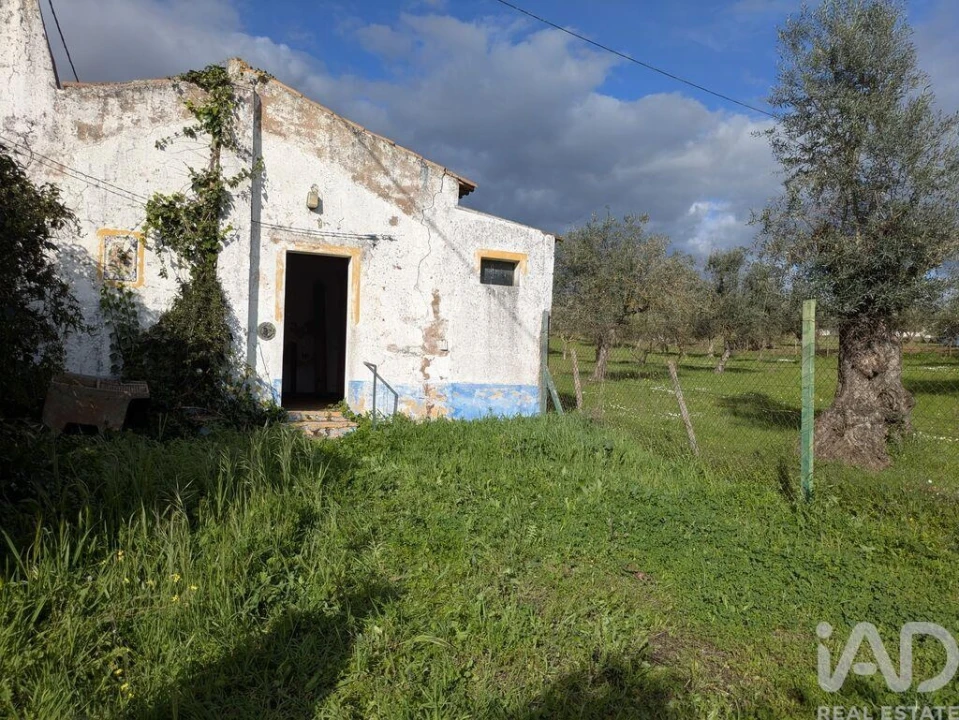 Moradia T2 para Venda em Santo Amaro Foto 8