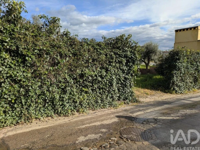 Moradia T2 para Venda em Santo Amaro Foto 12