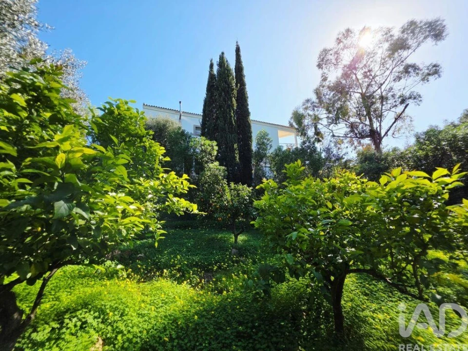 Moradia T4 para Venda em Pechão Foto 33