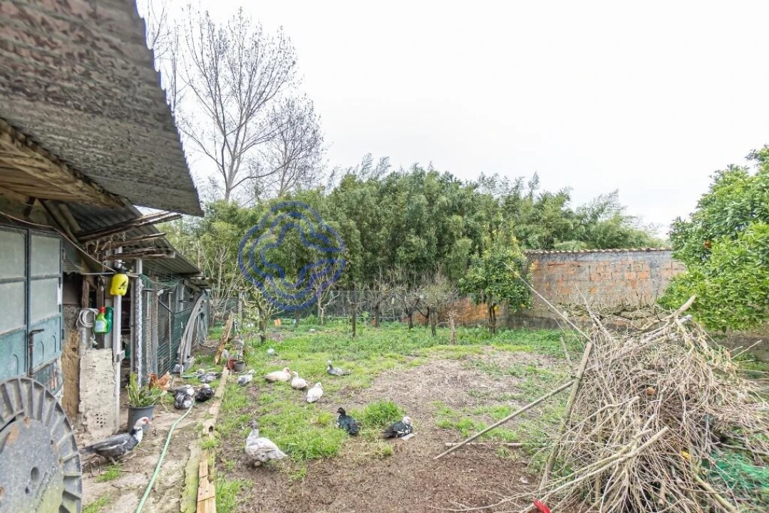 Moradia T3 para Venda em Bustos, Troviscal e Mamarrosa Foto 42