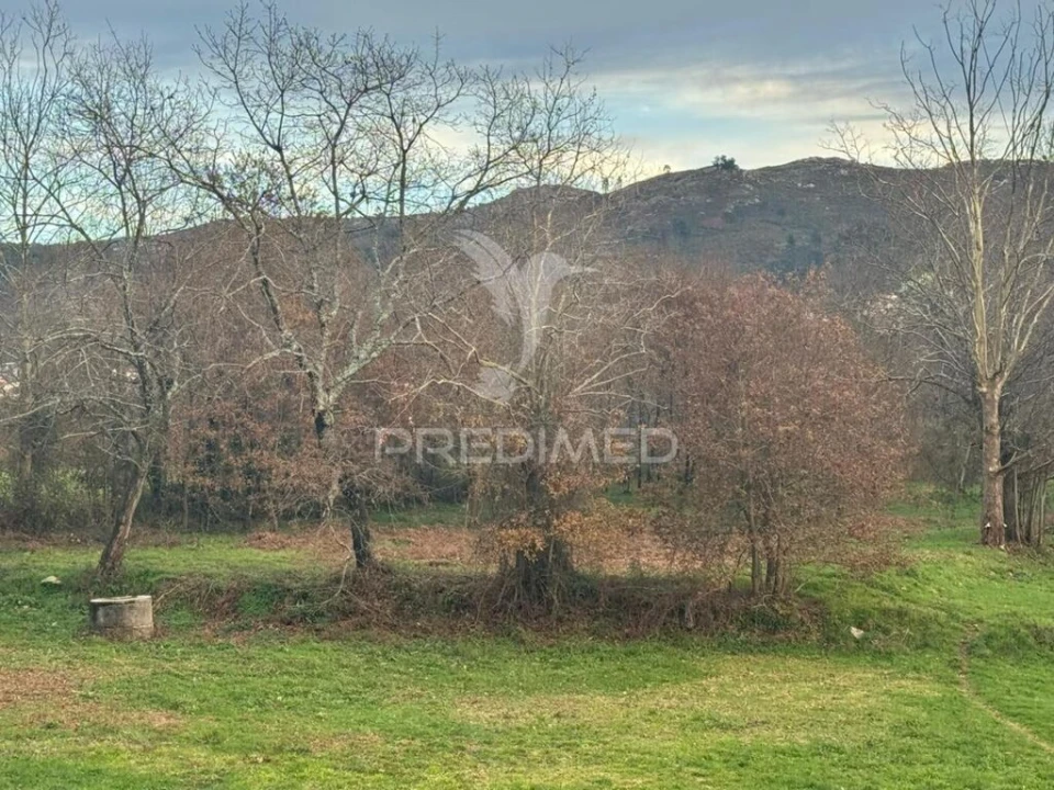Terreno para Venda em Antime e Silvares (São Clemente) Foto 4