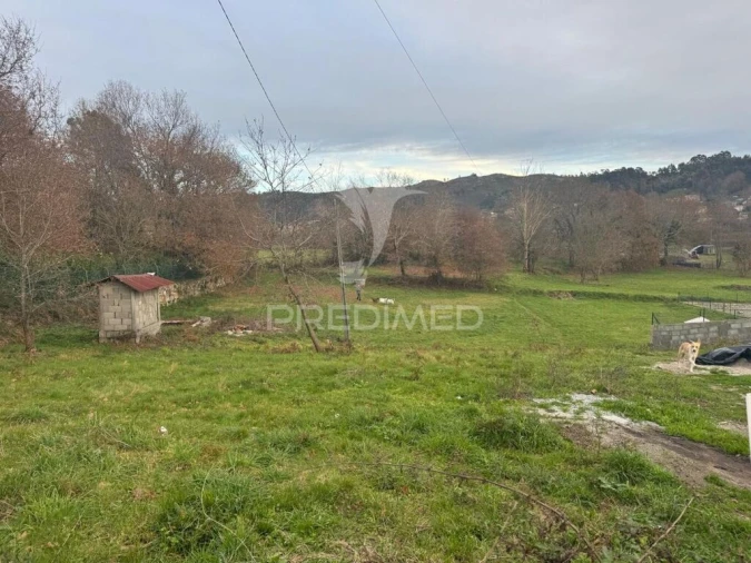 Terreno para Venda em Antime e Silvares (São Clemente) Foto 9