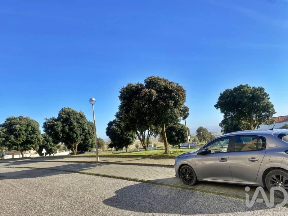 Terreno para Venda em Silveira Foto 13