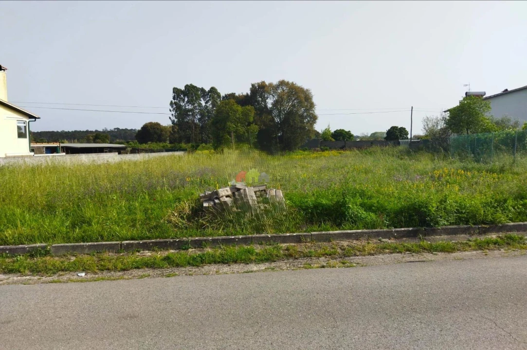 Terreno para Venda em Monte Real e Carvide Foto 5